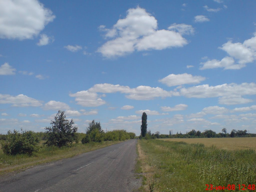 путь с пгт.Петропавловка на с.Троицкое