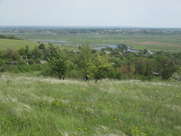 Прекрасные поля Петропавловки