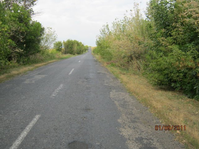 Дорога в Александрополь