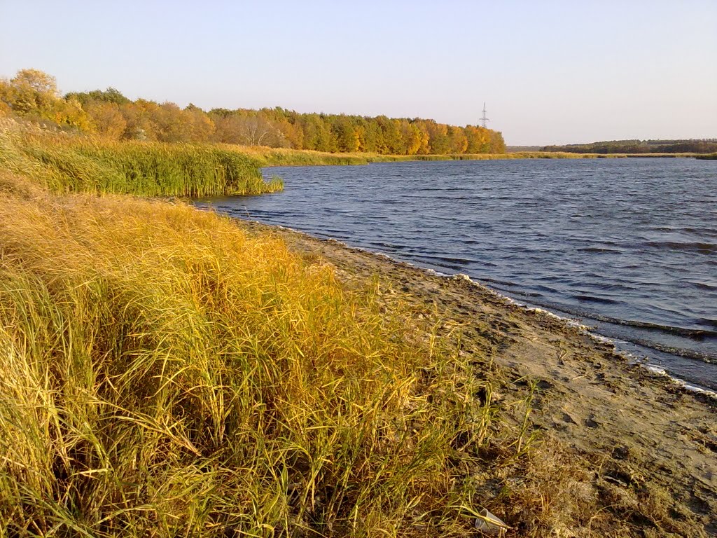 Ставок
