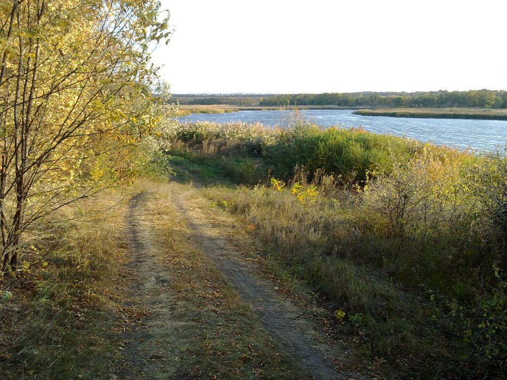 Ставок2