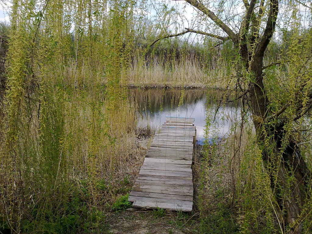 Весна на реке Бык