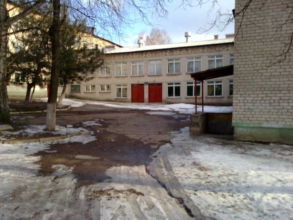 школа №2 вид со двора