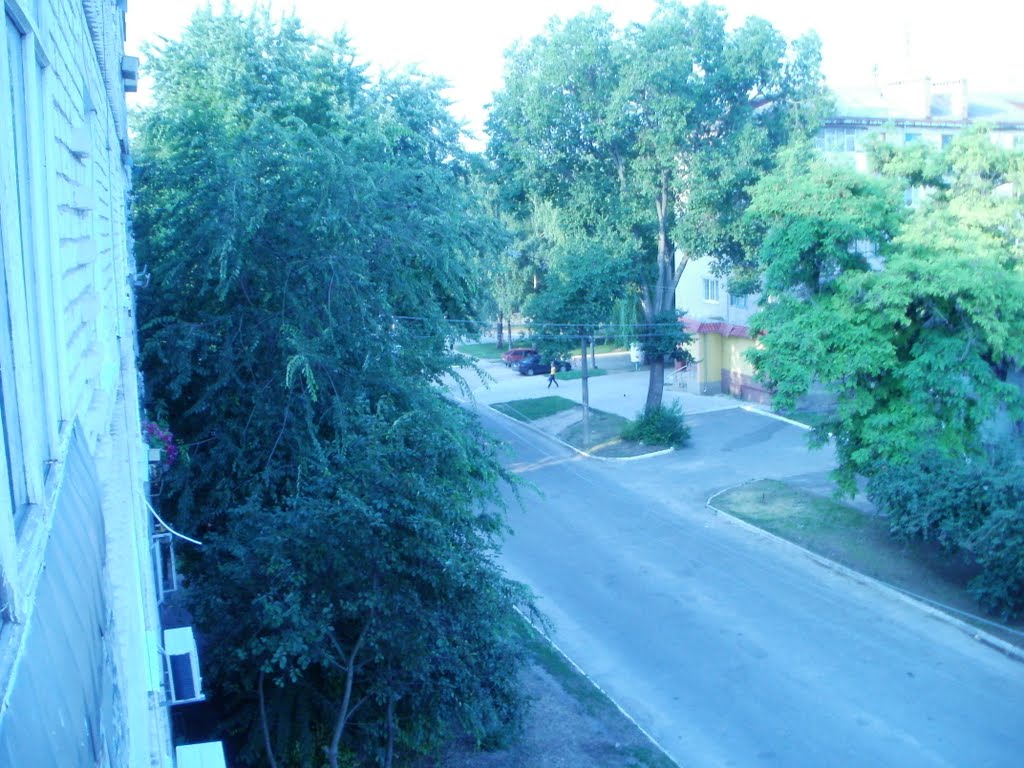 Лето 2011
