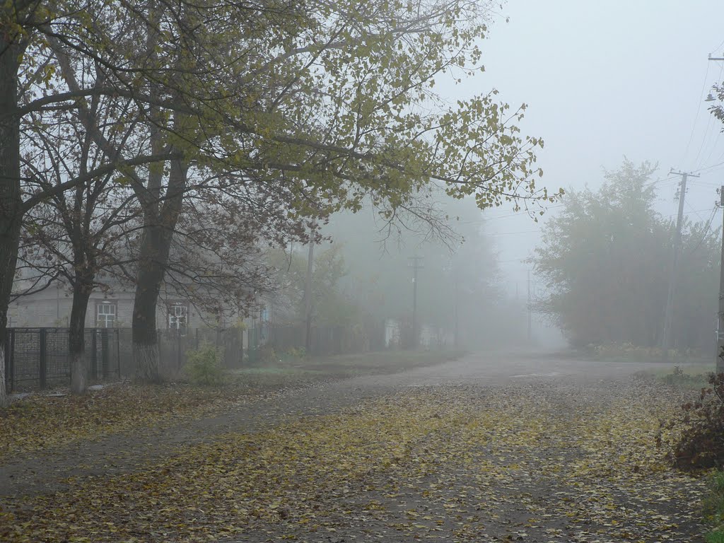 Улица Первомайская