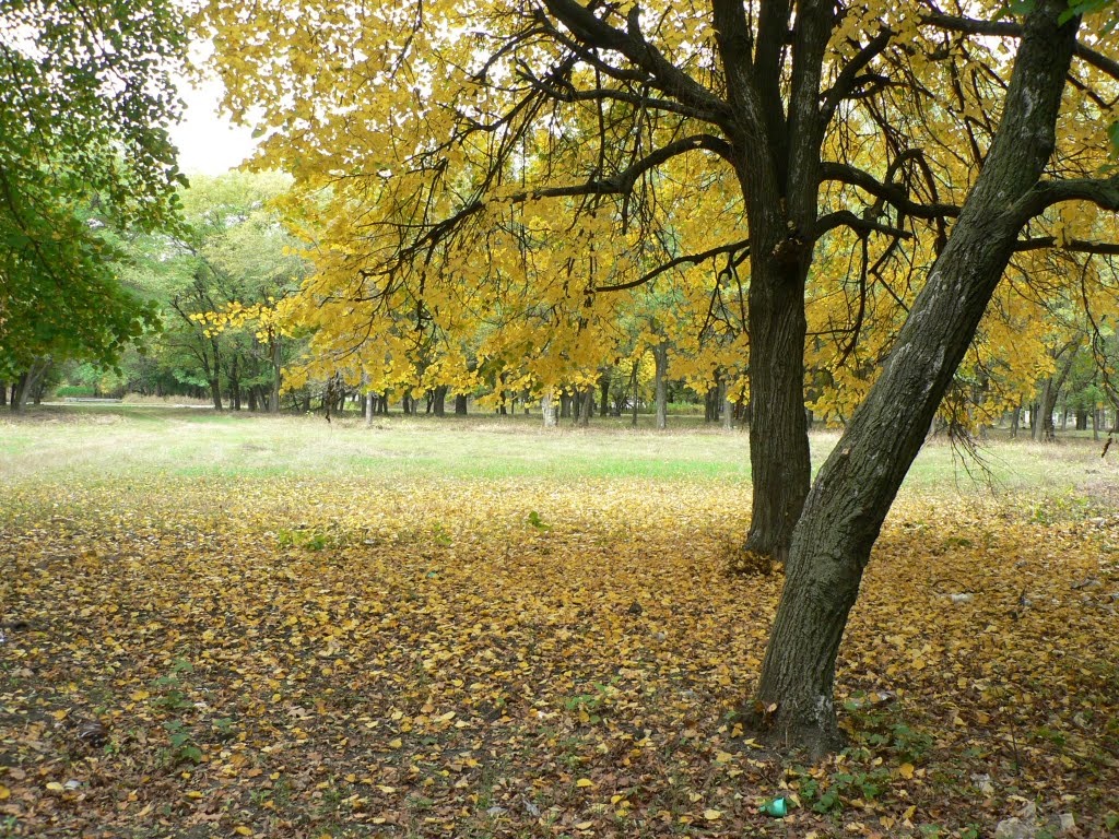 В парке