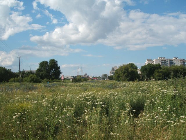 First Glance to Town