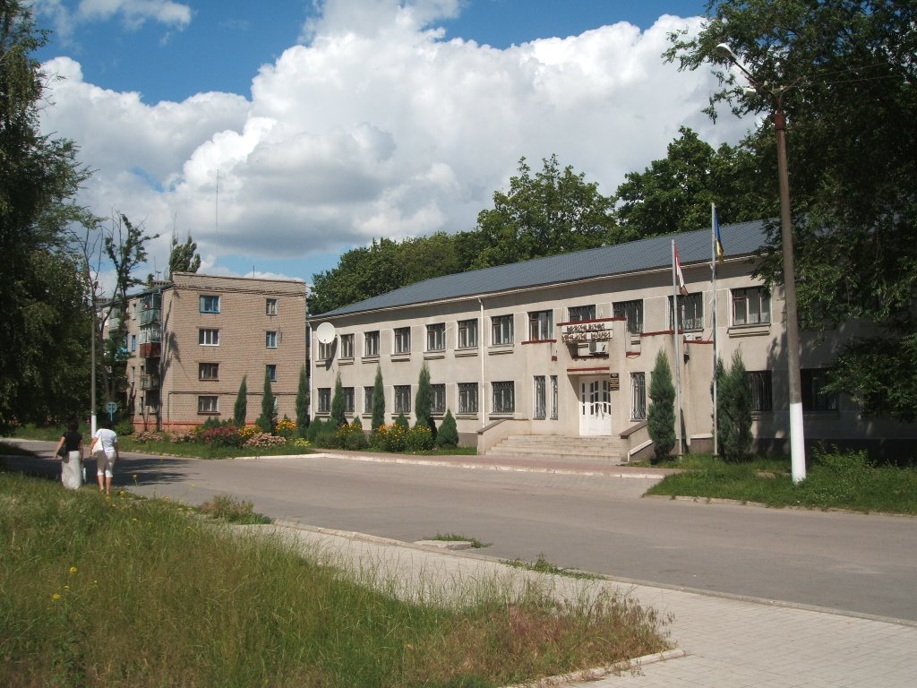 Town Executive Council