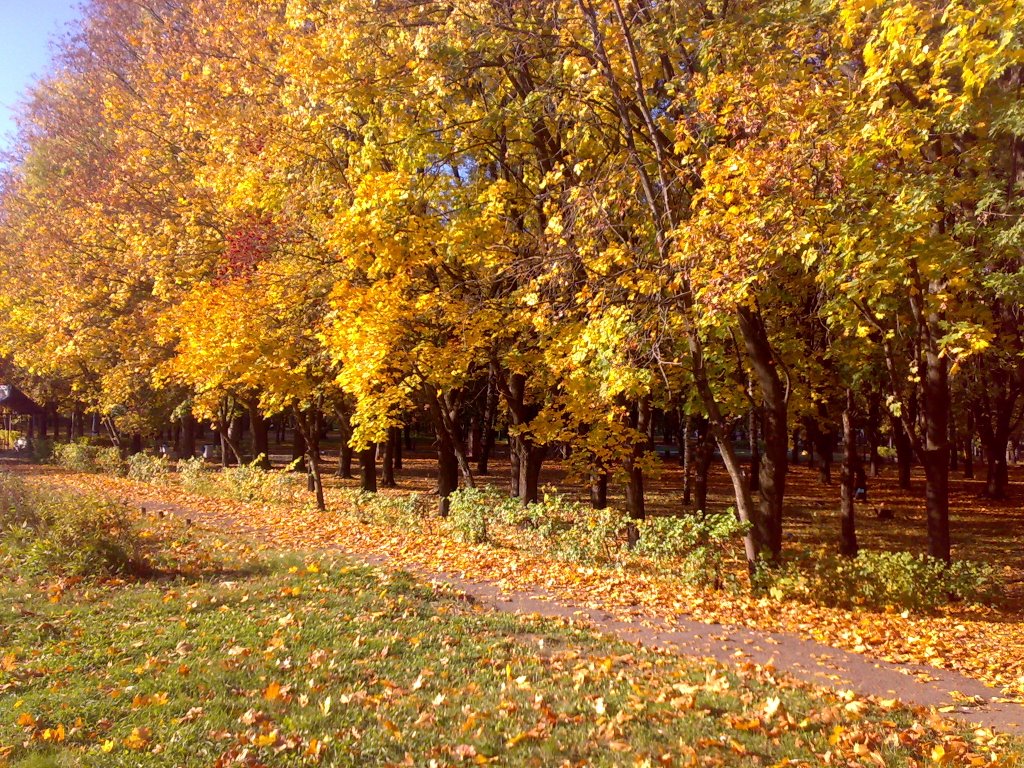 Осень Золотая