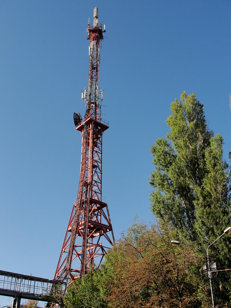 Vilnohirsk