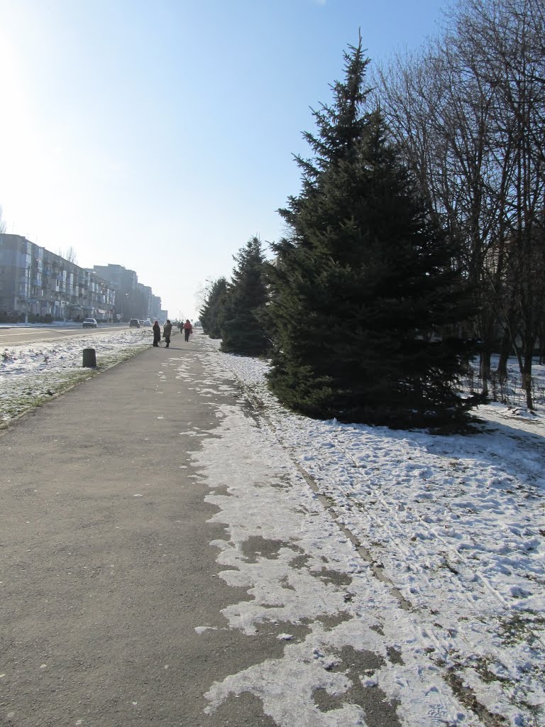 ул.Ленина,алея ил ёлок,очень красиво