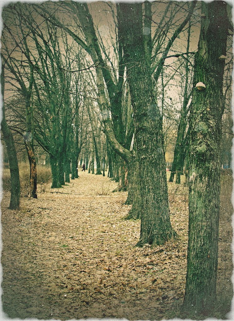 ПАРК, февраль 2013