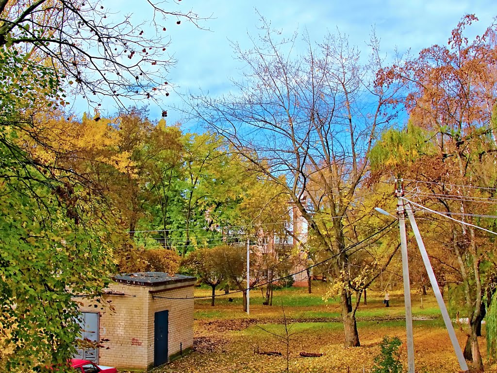 осень 2013