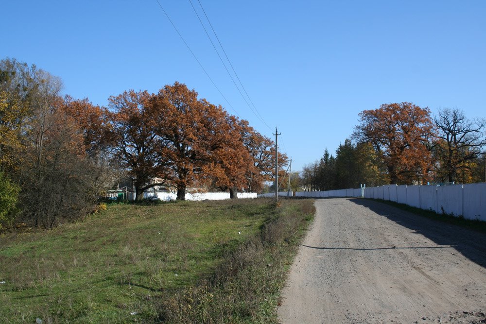 Лісництво
