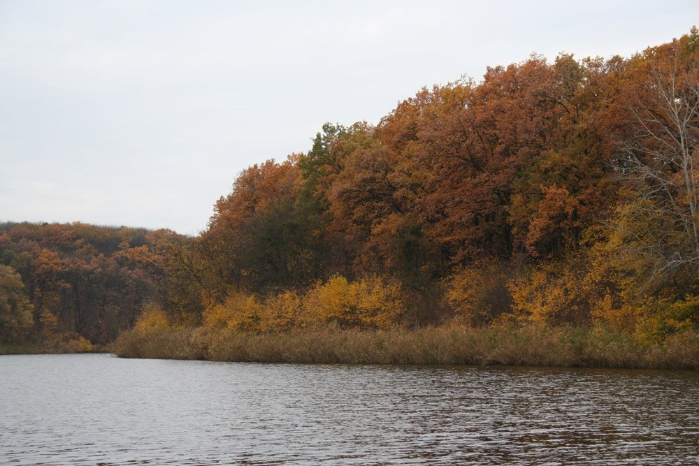 ріка Самара