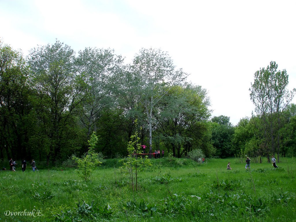 В центре парка, май 2009