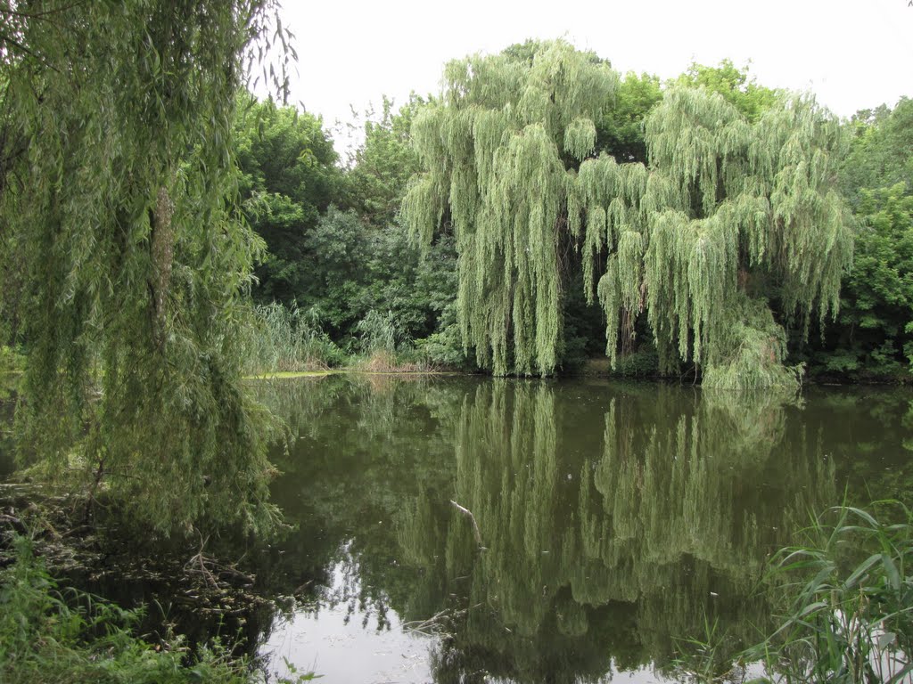 park Veseli Terny парк Веселі Терни