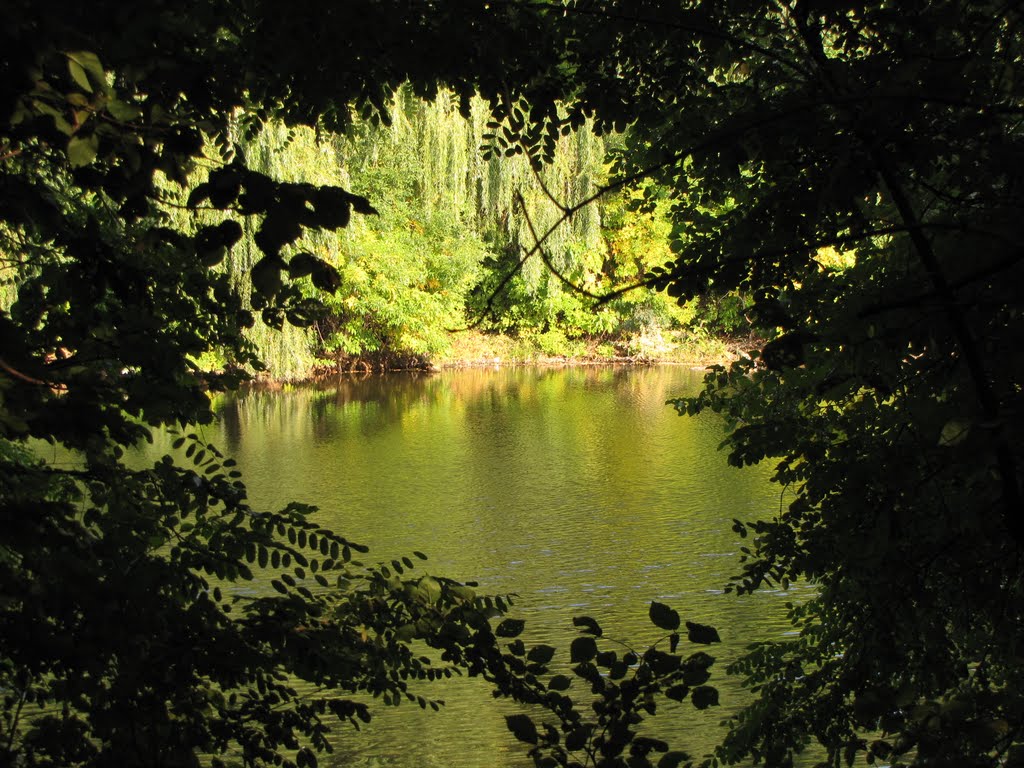 park Veseli Terny парк Веселі Терни