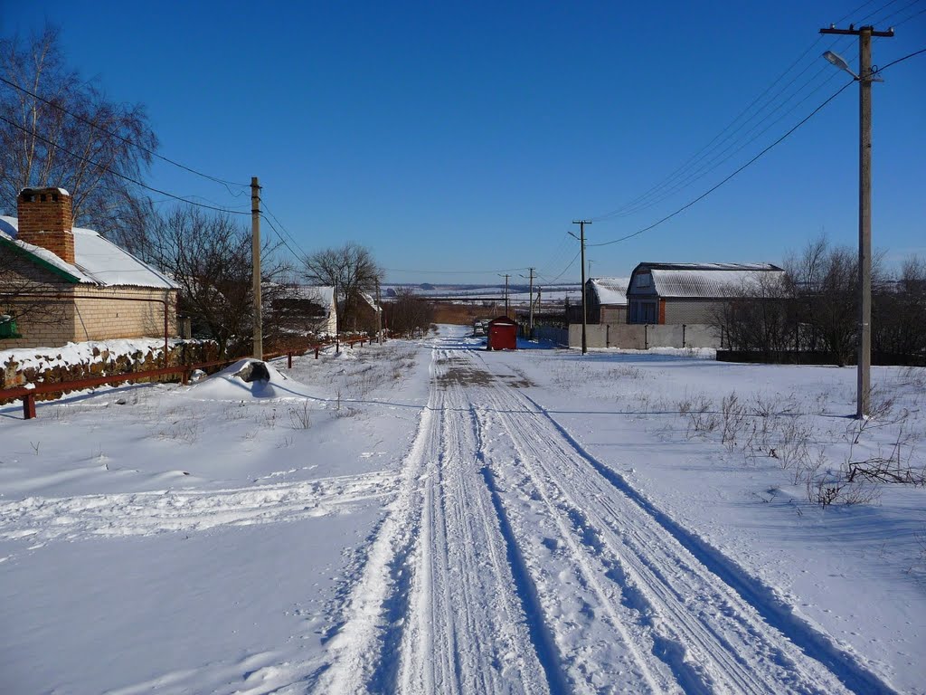 совхоз,дорога2