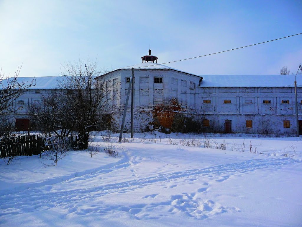 совхоз,конюшня