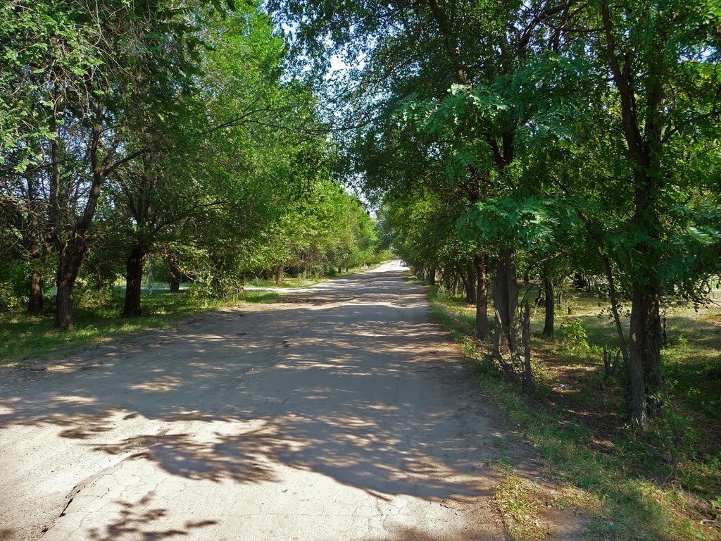 въезд в село