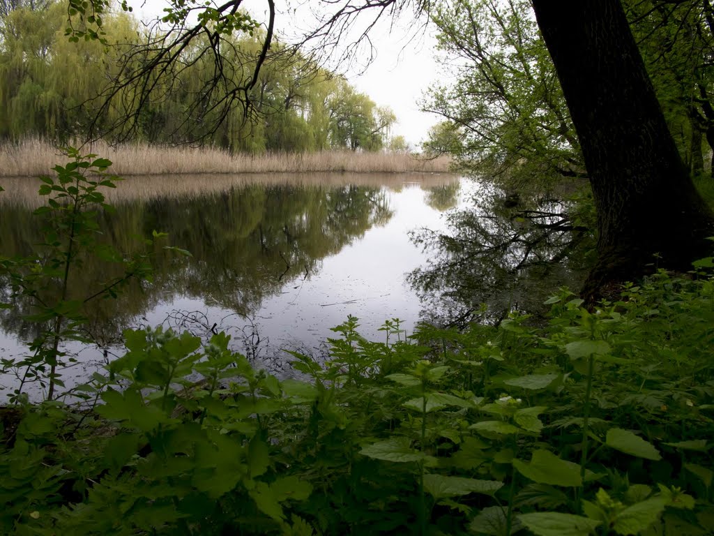 Парк