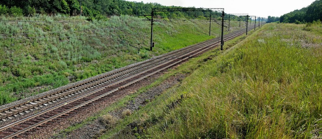Перегон ст.Роковатая-ст.Саксагань