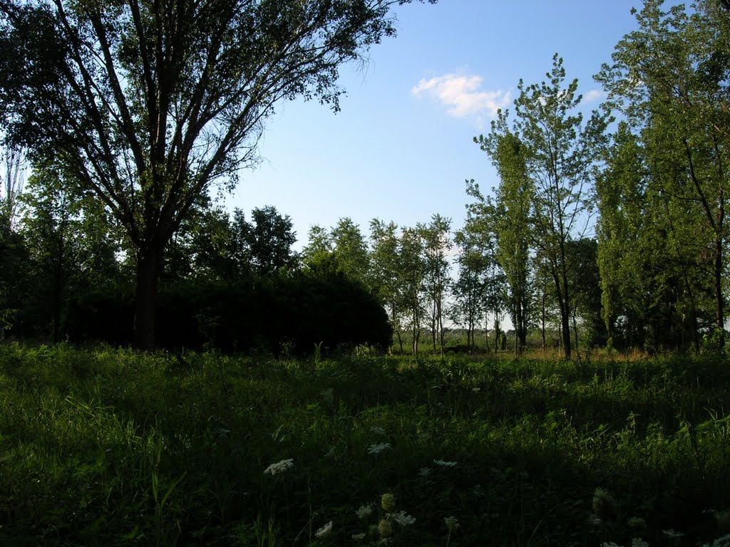 Парк