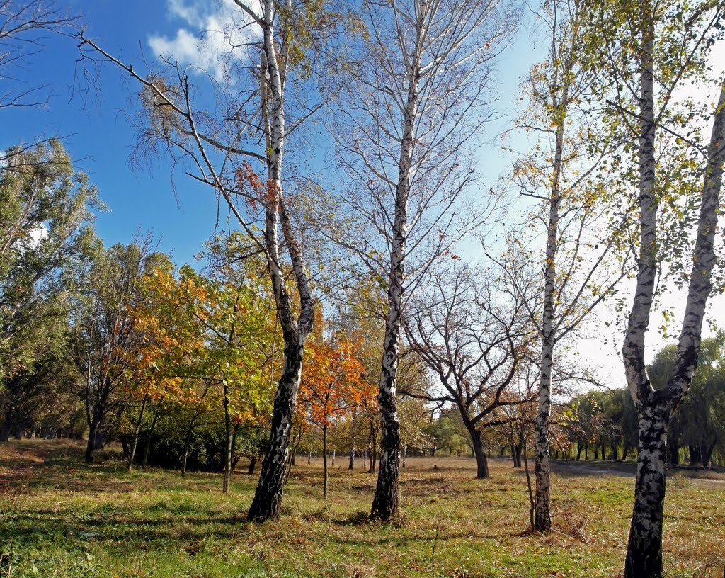 Осень 23.10.2011