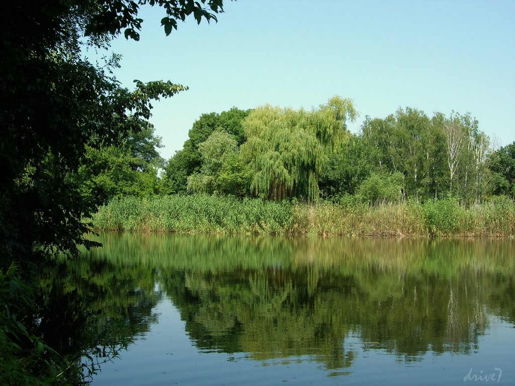 Парк В.Терны