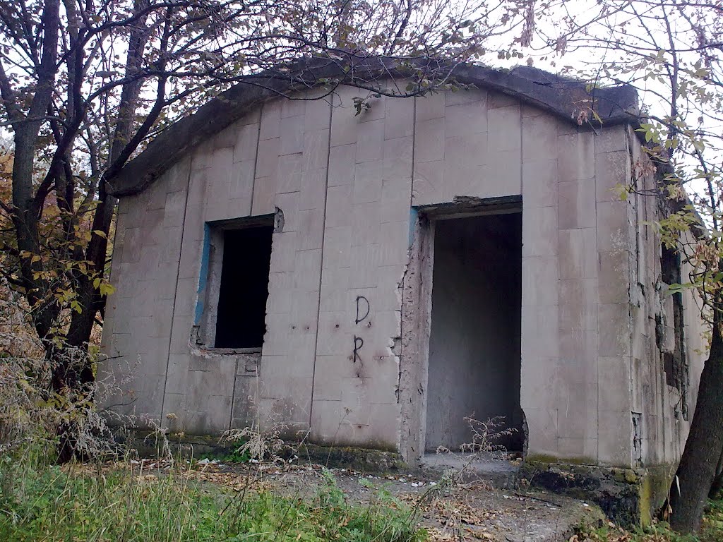 Недобудована будівля радянської епохи / Unfinished building of the Soviet era