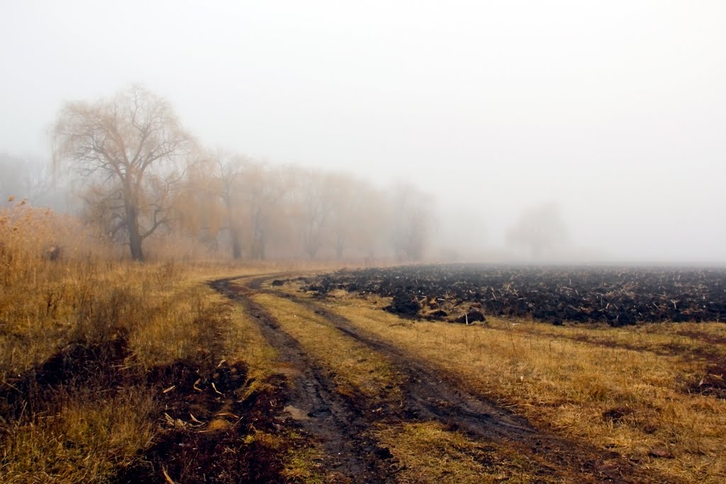 в туман