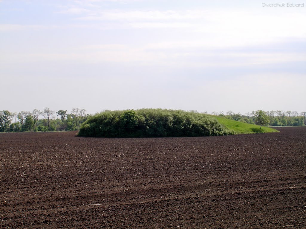 Древний курган, 2009