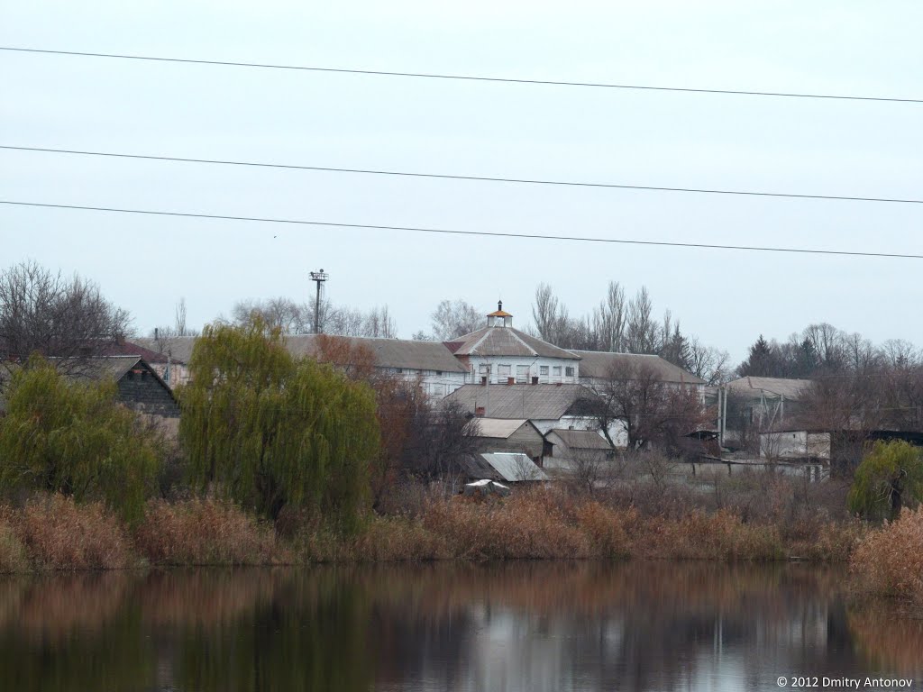 Територія маєтку "Новопавлівка" поміщика Івана Харіна, 2012