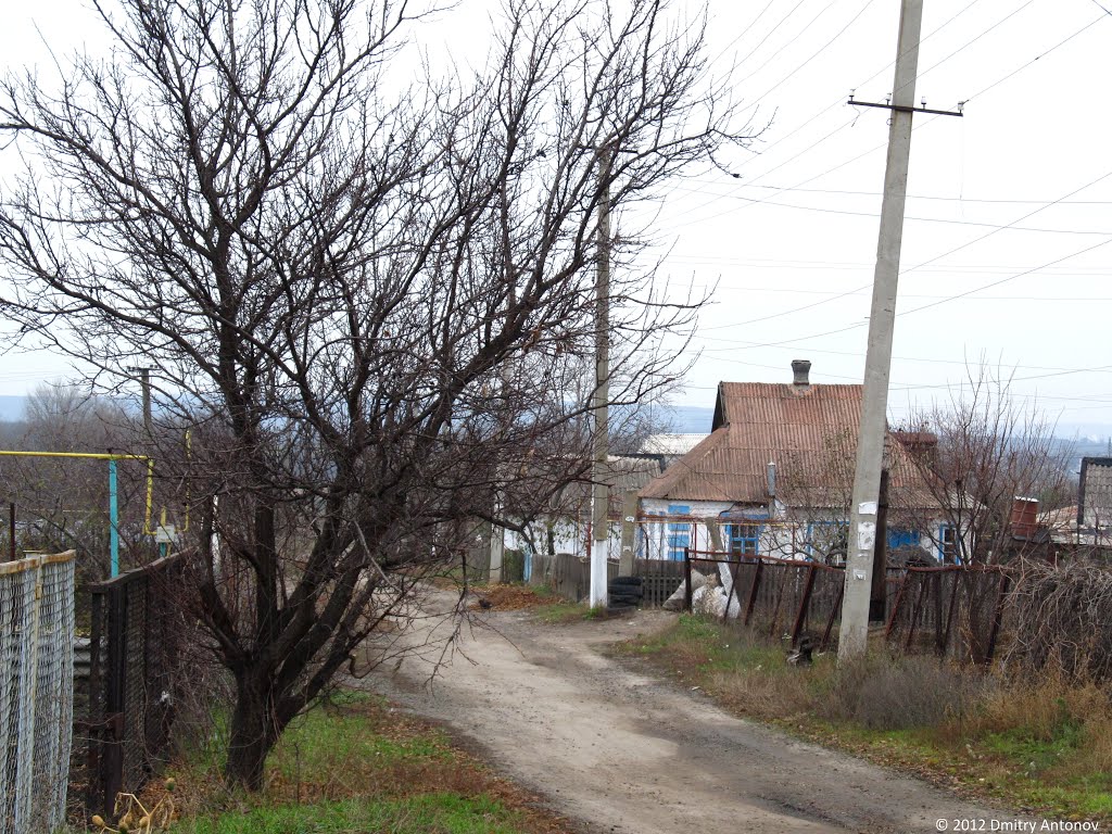 Селище Гірницьке (в народі - "Бурые угли"), 2012