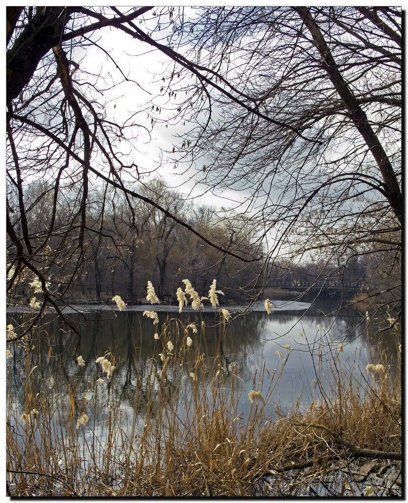 В парке 02.03.2013