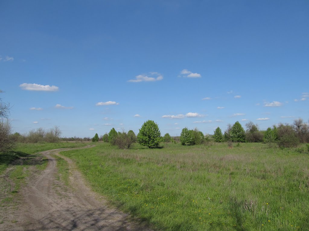 Грунтовка (04.2013)