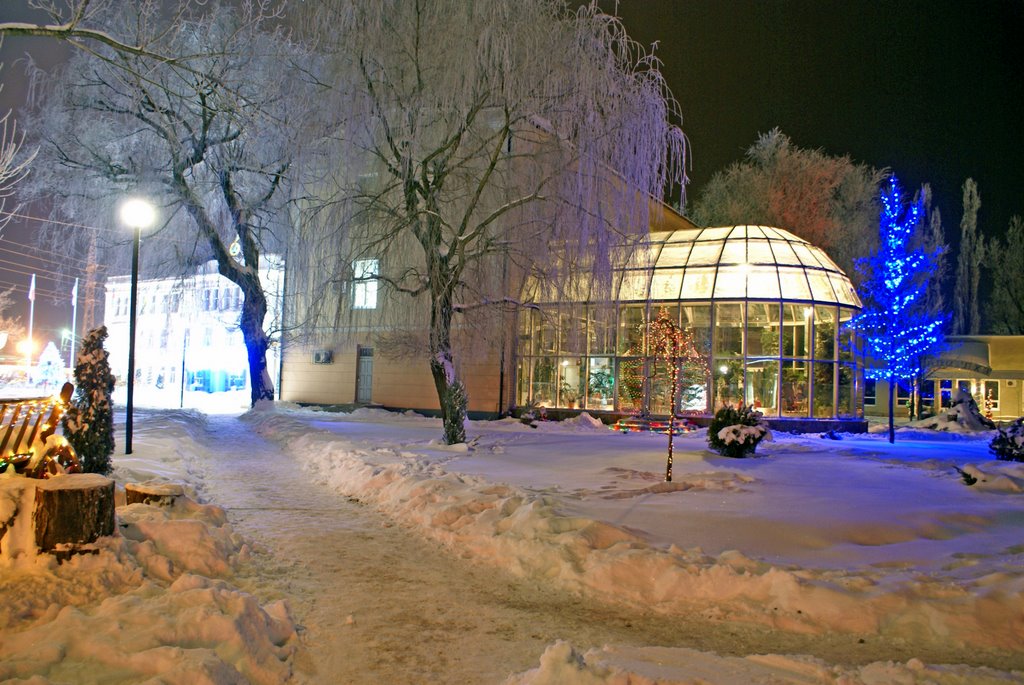 Кафе Ренессанс. Зимняя сказка. Сafé Renaissance. Winter Fairy Tale