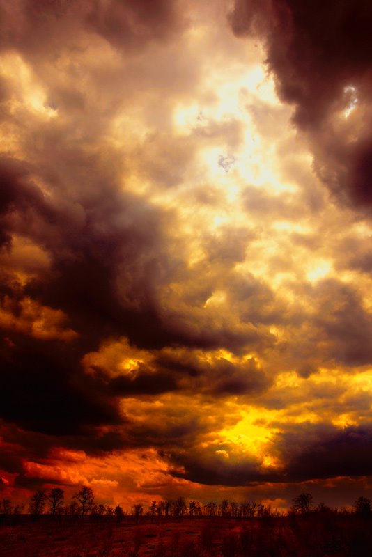 In flames (by S. Tkachenko)