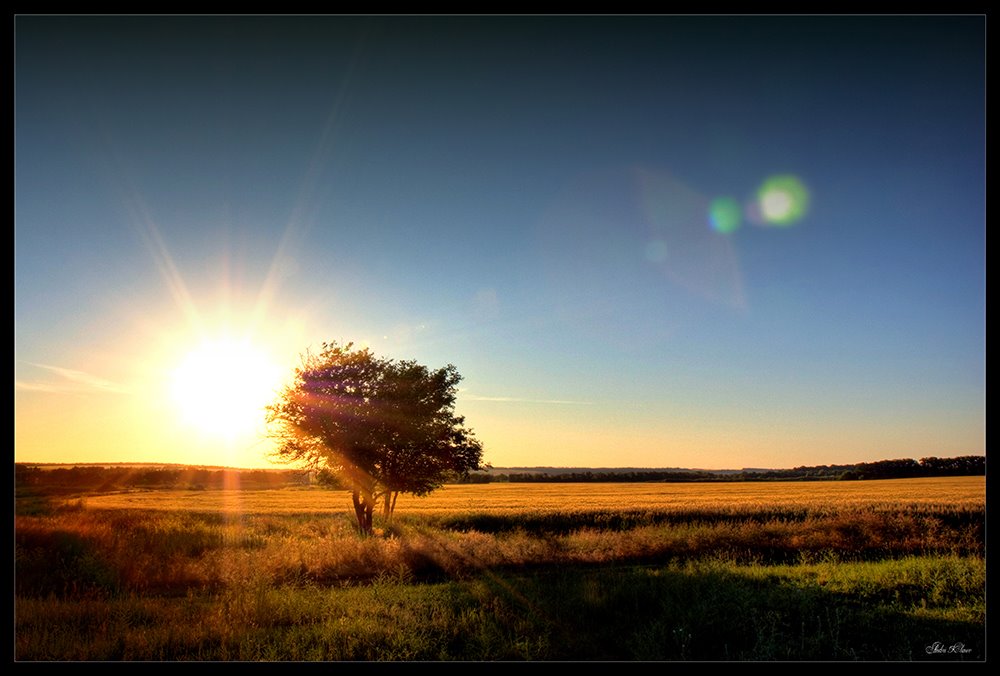 На закате (On sunset)