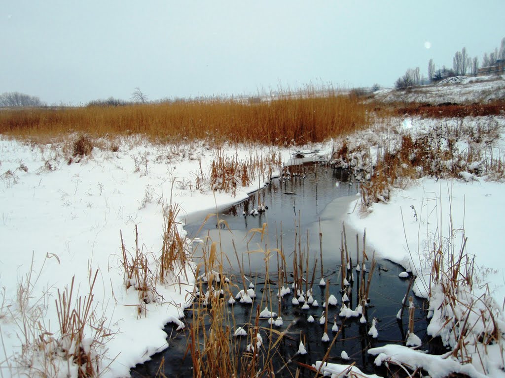 За околицей / In country