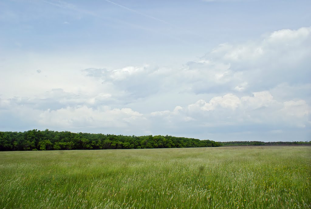 Lovely View - Глаз не отвести... ))