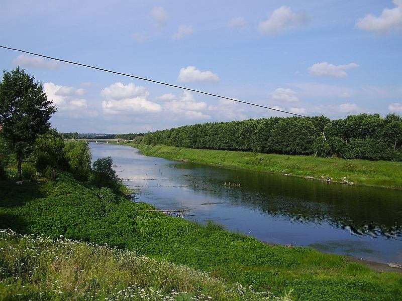 покровское, мост через реку