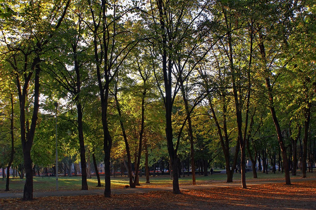 Autumn - Осень