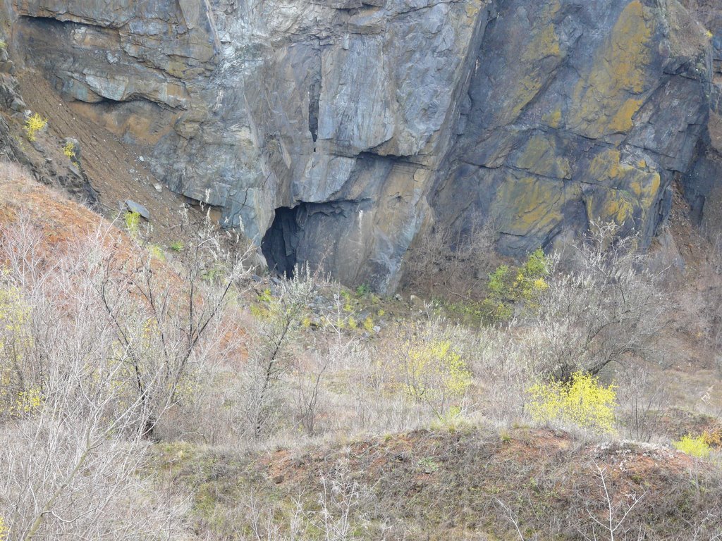 Ход внизу