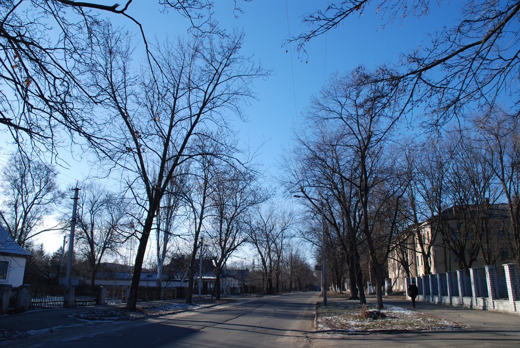 ул. Петровского