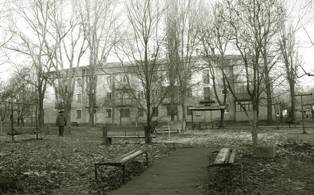 Во дворе (ул. Гагарина, 15)