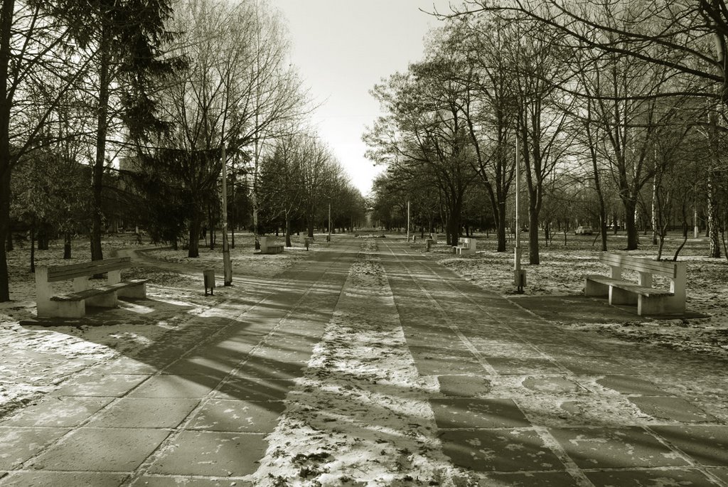 ул. Петровского ("Бродвей")