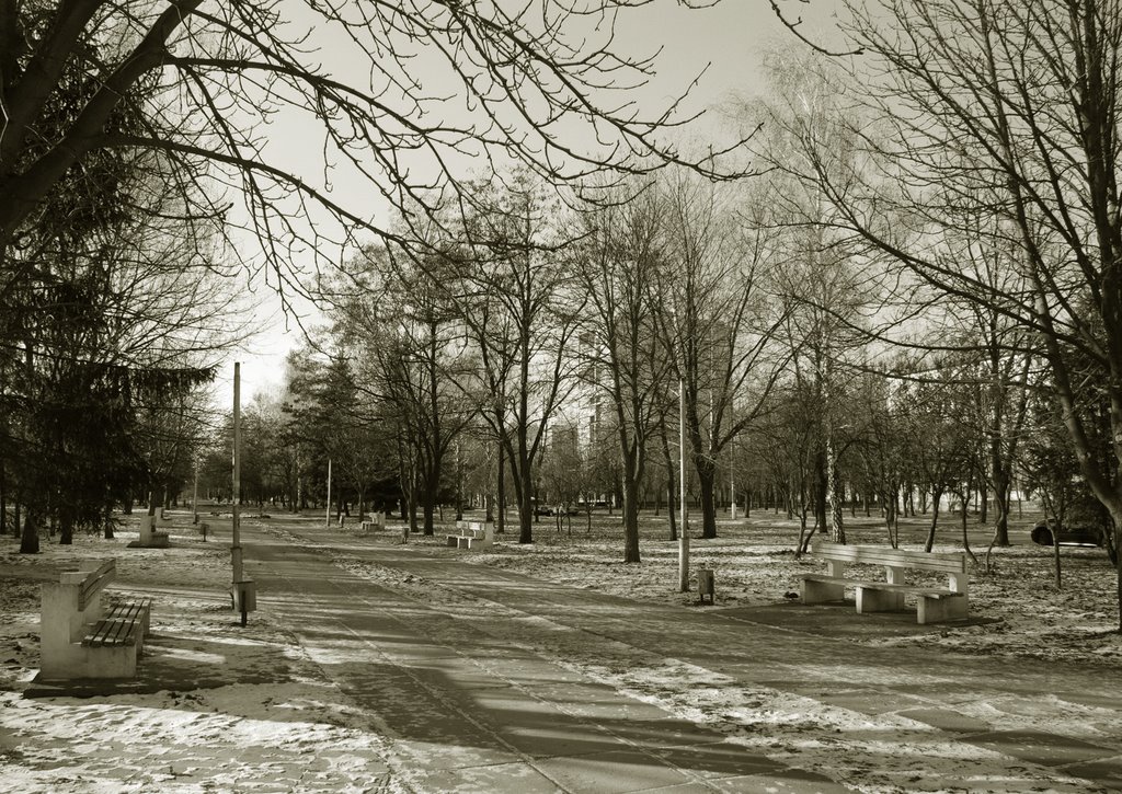 ул. Петровского ("Бродвей")