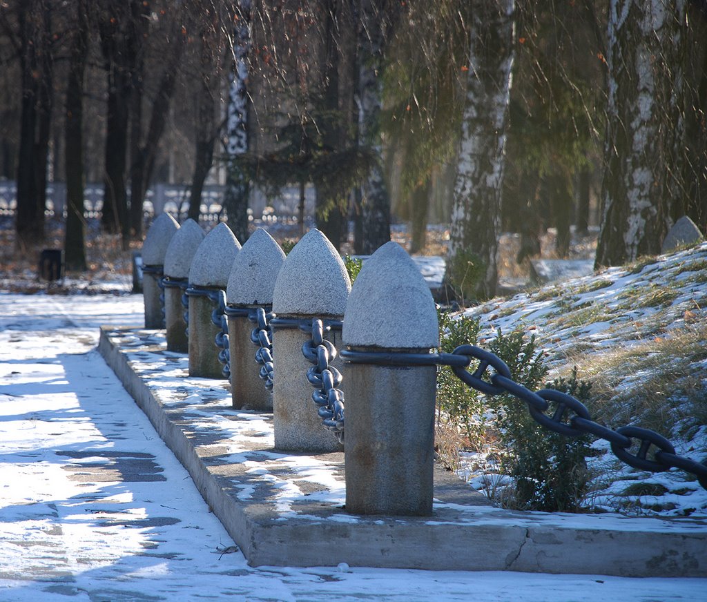 Монумент в память погибшим (ул. Петровского)